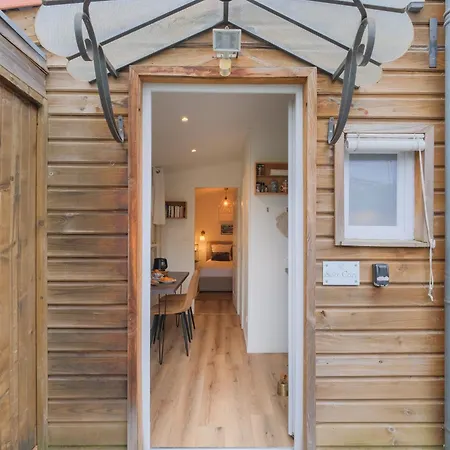 Les D'alienor, Cosy ペサック