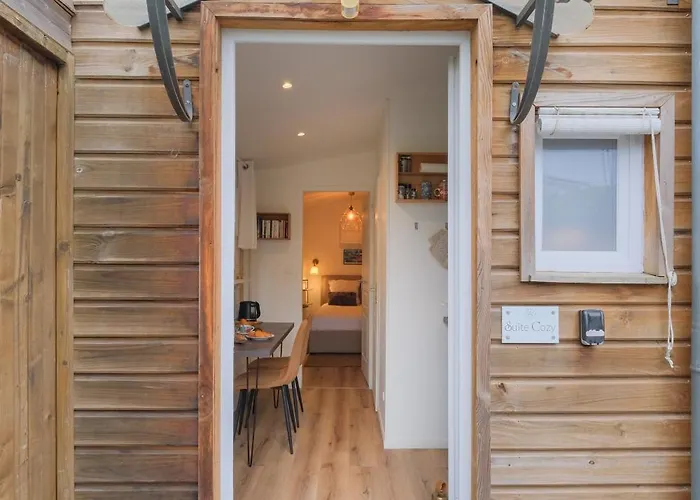 Les D'alienor, Cosy Pessac