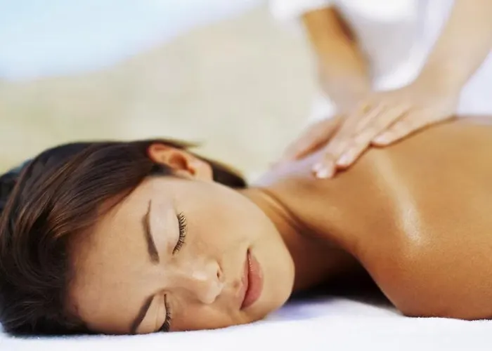 Lejlighed Les D'alienor, Cosy